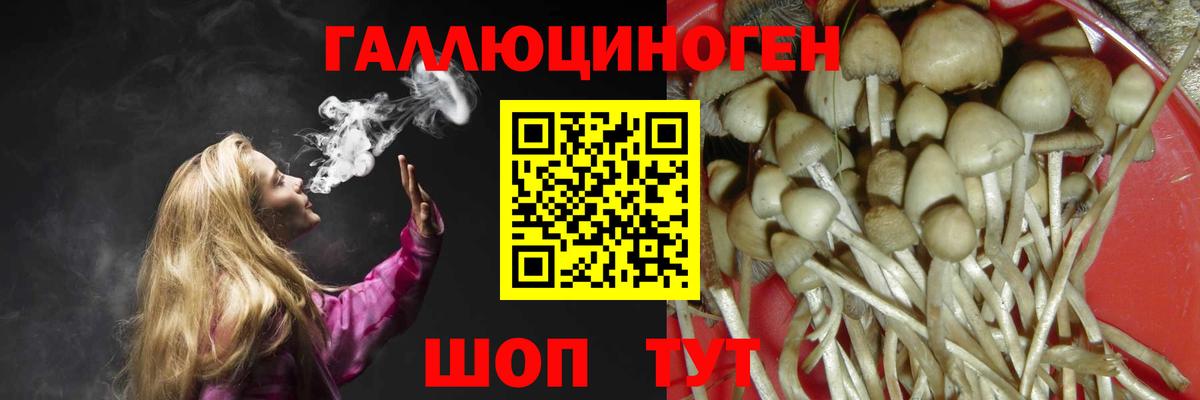 Псилоцибиновые грибы Psilocybe  Вход с VPN  Строитель  Псилоцибиновые грибы Magic Shrooms 