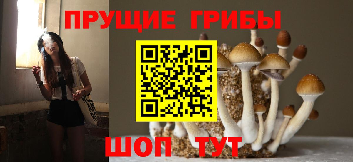 Галлюциногенные грибы MAGIC MUSHROOMS Строитель